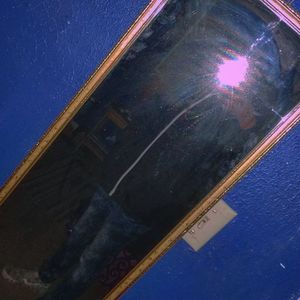 Meet your Posher, Gus